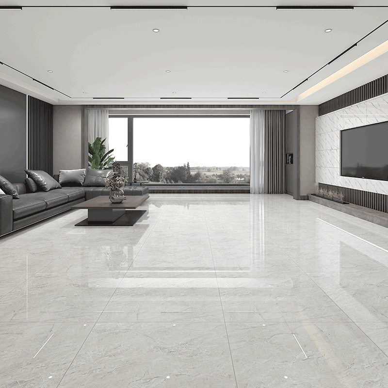 800x800-02.png 800x800-02.png